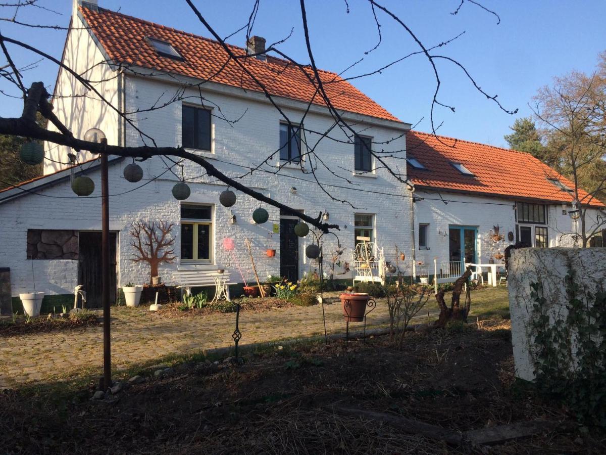 Slaaphuisje Het Vliegend Varken Genk Kültér fotó